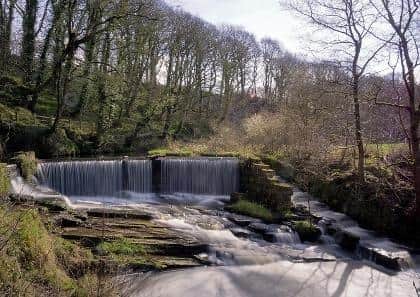 Yarrow Valley Country Park