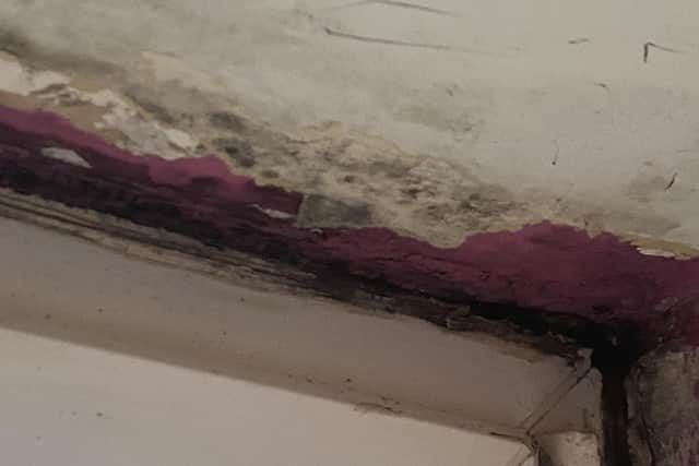 Black mould and home in disrepair