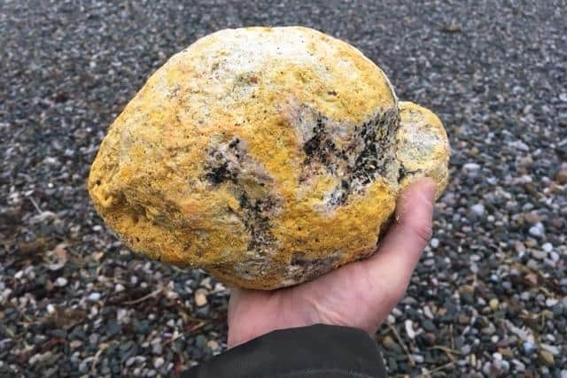 The waxy yellow rock found on Morecambe beach which could be whale vomit worth £40k.