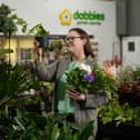 Houseplants is the focus for January's Grow How session at Dobbies