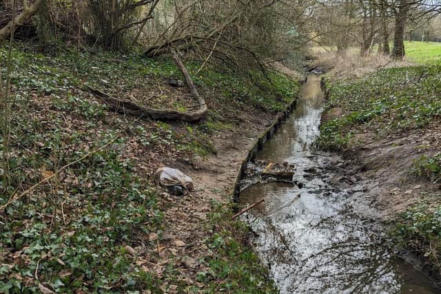 The deceased female Jack Russell type dog was discovered by a member of the public alongside a stream in Clayton Brook Road, Clayton Brook, at around 12.45pm on Friday, February 17