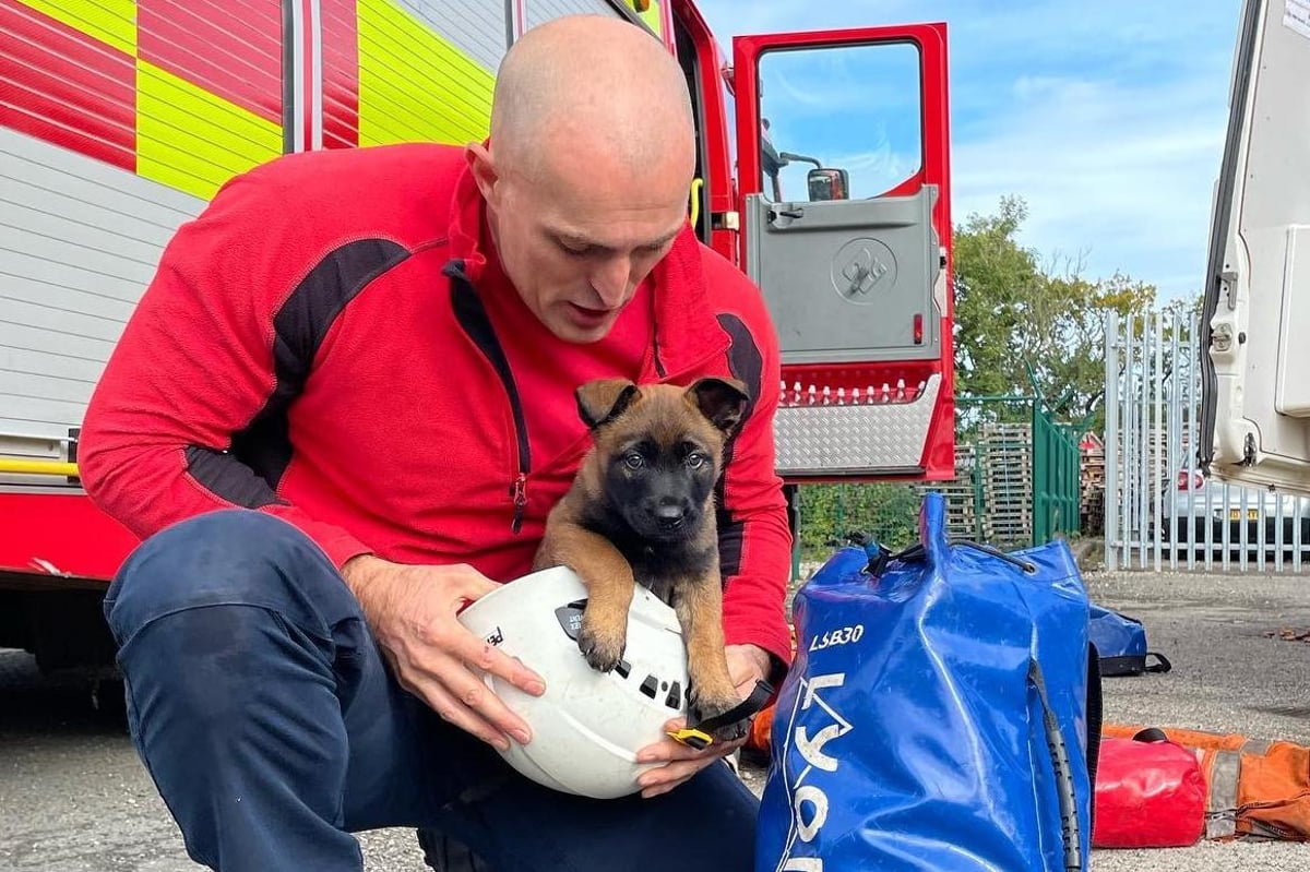 Meet the nine week old puppy being trained to save lives in Lancashire