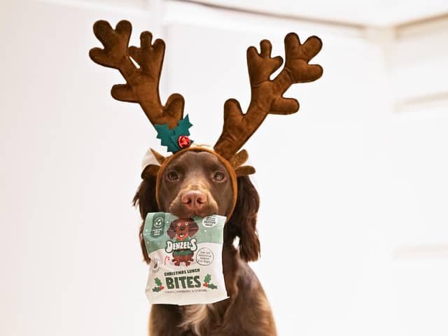 A study of 2,000 dog owners in the UK  revealed nine in 10  are likely to buy their dog a Christmas present this year