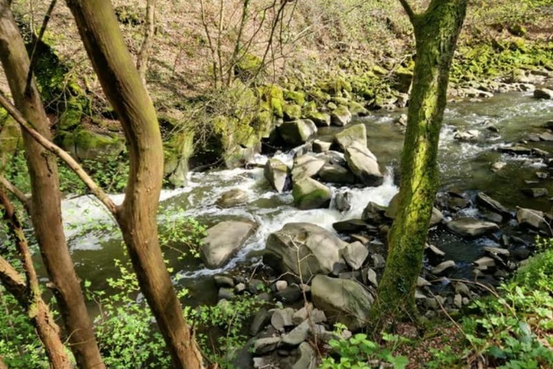 Walk alongside a babbling brook through the woods