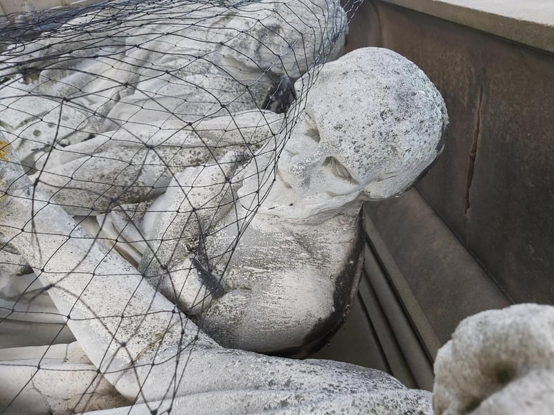48 kilograms of bird muck has been carefully removed from the statues