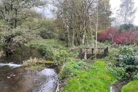Primrose Nature Reserve in Clitheroe.