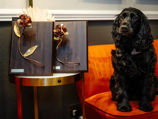 A very proud pooch! Hetty, who belongs to Michael Huckerby, the owner of The Lawrence Hotel in Padiham, with the two awards the hotel received at the Lancashire Tourism Awards which are Best Dog Friendly Hotel for the second year running and Perfect Stay Lancashire
