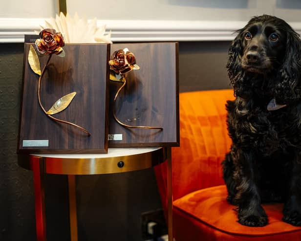 A very proud pooch! Hetty, who belongs to Michael Huckerby, the owner of The Lawrence Hotel in Padiham, with the two awards the hotel received at the Lancashire Tourism Awards which are Best Dog Friendly Hotel for the second year running and Perfect Stay Lancashire