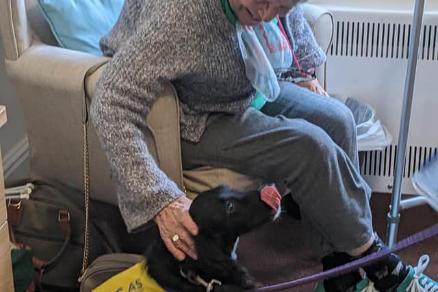 Residents welcome pet therapy dog Connie to Longridge Hall Care Home