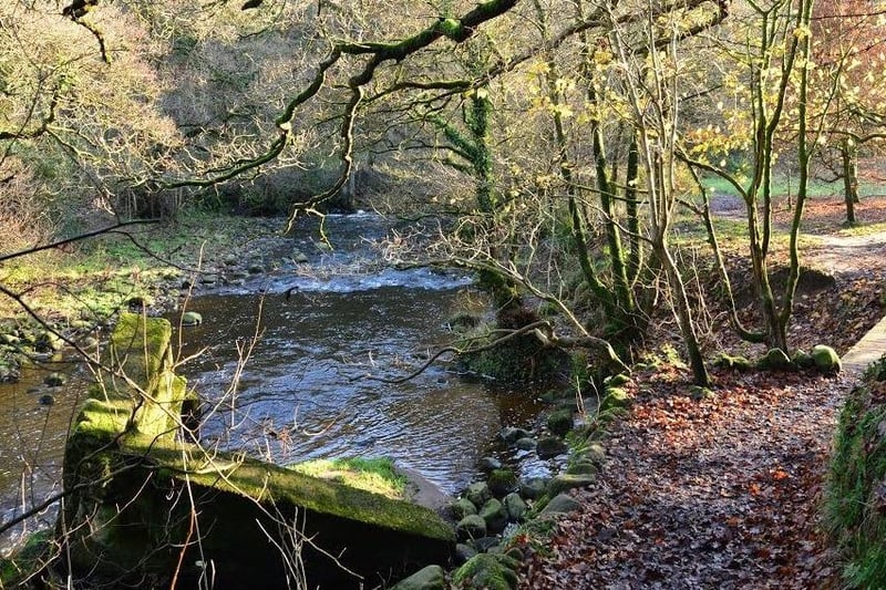 Enjoy nature at Beacon Fell Country Park - get some fresh air and take in the scenery.
The Beacon Fell summit is a gentle climb and reaches 266 metres (873 feet) above sea level - offering spectacular views of the Forest of Bowland and Morecambe Bay. On a clear day it is even possible to see the Isle of Man. 
There's an abundance of wildlife, ample parking (pay and display) and a cafe with toilets.