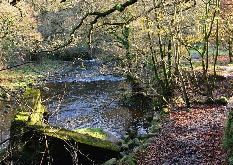 Enjoy nature at Beacon Fell Country Park - get some fresh air and take in the scenery.
The Beacon Fell summit is a gentle climb and reaches 266 metres (873 feet) above sea level - offering spectacular views of the Forest of Bowland and Morecambe Bay. On a clear day it is even possible to see the Isle of Man. 
There's an abundance of wildlife, ample parking (pay and display) and a cafe with toilets.