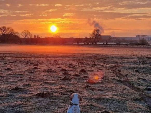 Despite the nice weather we have still seen a few frosty mornings. From @excusemephotography