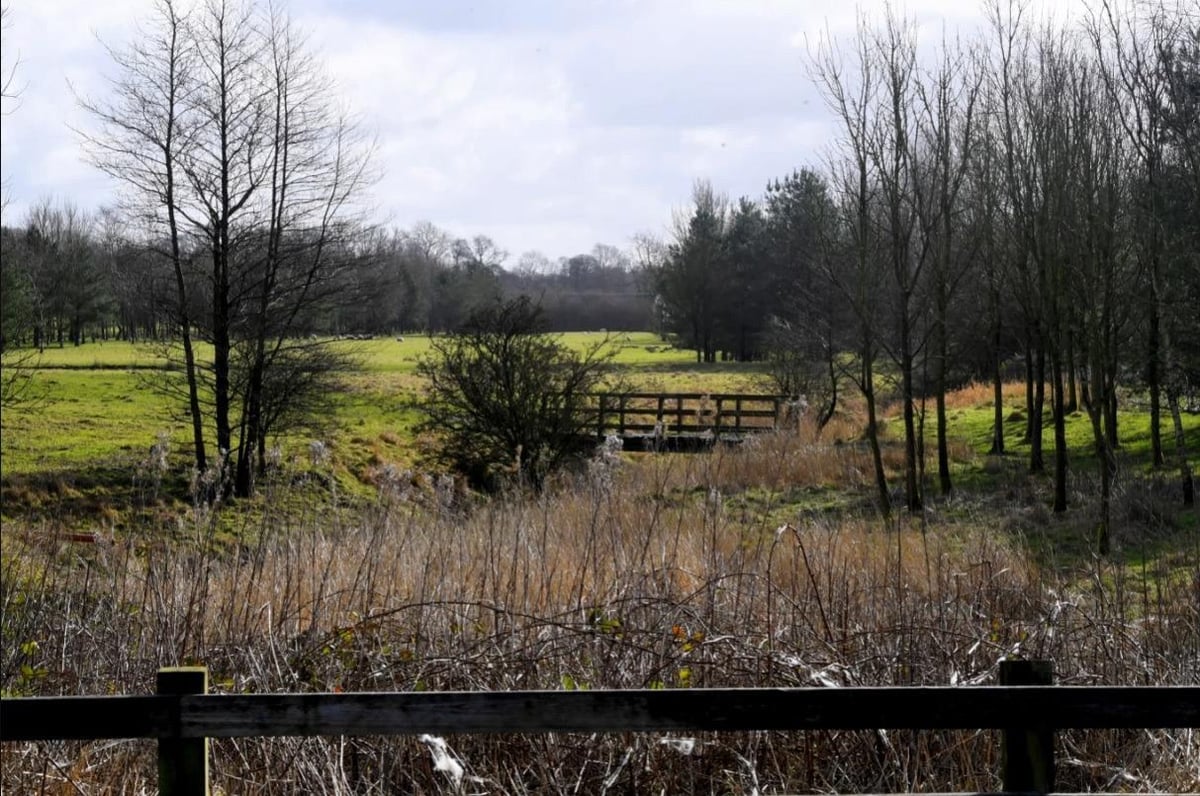 Locals urged to chip in with ideas to transform overgrown golf course into luxury holiday retreat