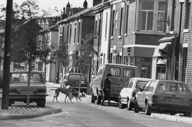 Taking the dogs for a walk down Lovat Road