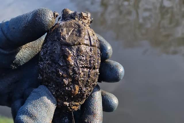 Bomb squad detectives were called to Burnley this morning after this hand grenade was found in the Leeds Liverpool Canal in Rosegrove.