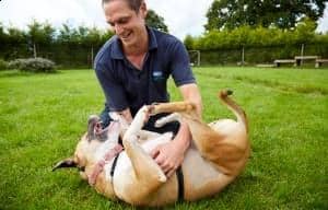 The RSPCA Preston and District Branch will be holding a One Fun Day on Saturday, June 17, which will be held across England and Wales to help raise money for the animals