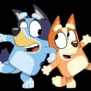 Bluey & Bingo are arriving from down under this July!