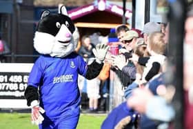 Bamber Bridge's mascot