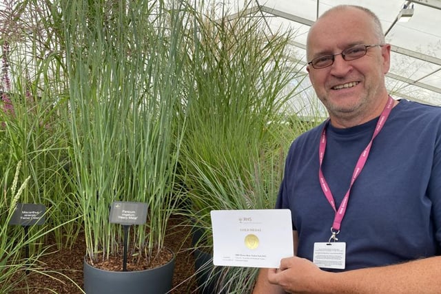 Gold standard: Chris Ashcroft from Ashcroft's nursery at Tarleton with the gold medal he received for the nursery's grasses display    Photo:Fiona Finch