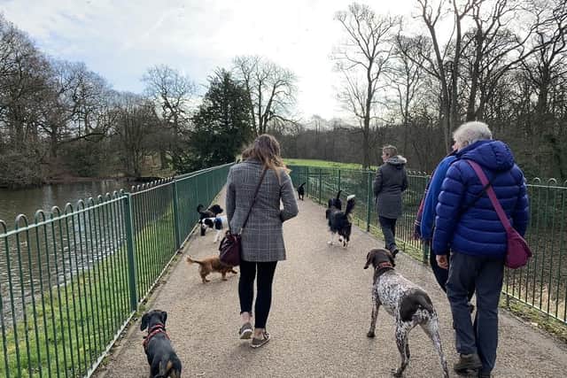 Derian House Children’s Hospice is inviting dog owners to take the 'lead' in the new four-legged Top Dog fundraiser with a goal to rack up 100km - equivalent to two miles per day throughout February