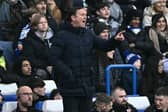 Morecambe manager Derek Adams Picture: Ben Stansall/AFP via Getty Images