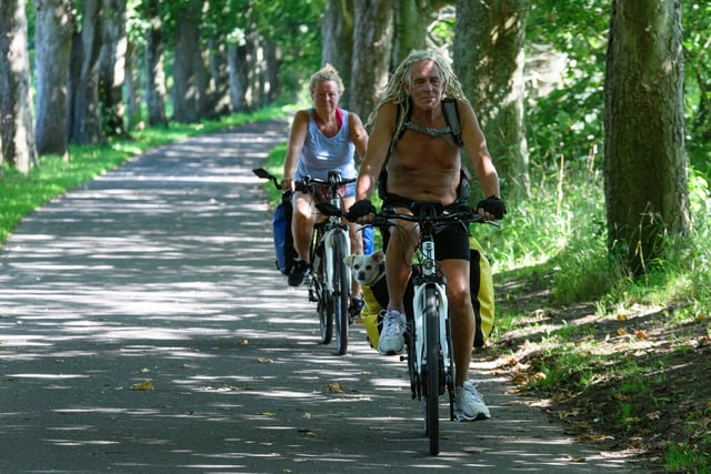 Cyclists with dog in tow in Avenham Park, Preston during the heatwave. Photo: Kelvin Stuttard