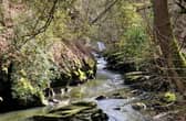 A 36-year-old man has been arrested after exposing himself to passersby at Hoghton Bottoms.