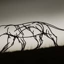 A full size stalking leopard which is now on the Skeleton coast of Namibia