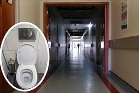 Toilet blockages have been causing problems on the corridors and wards of the Royal Preston Hospital (image: Paul Faulkner/Pixabay (inset)