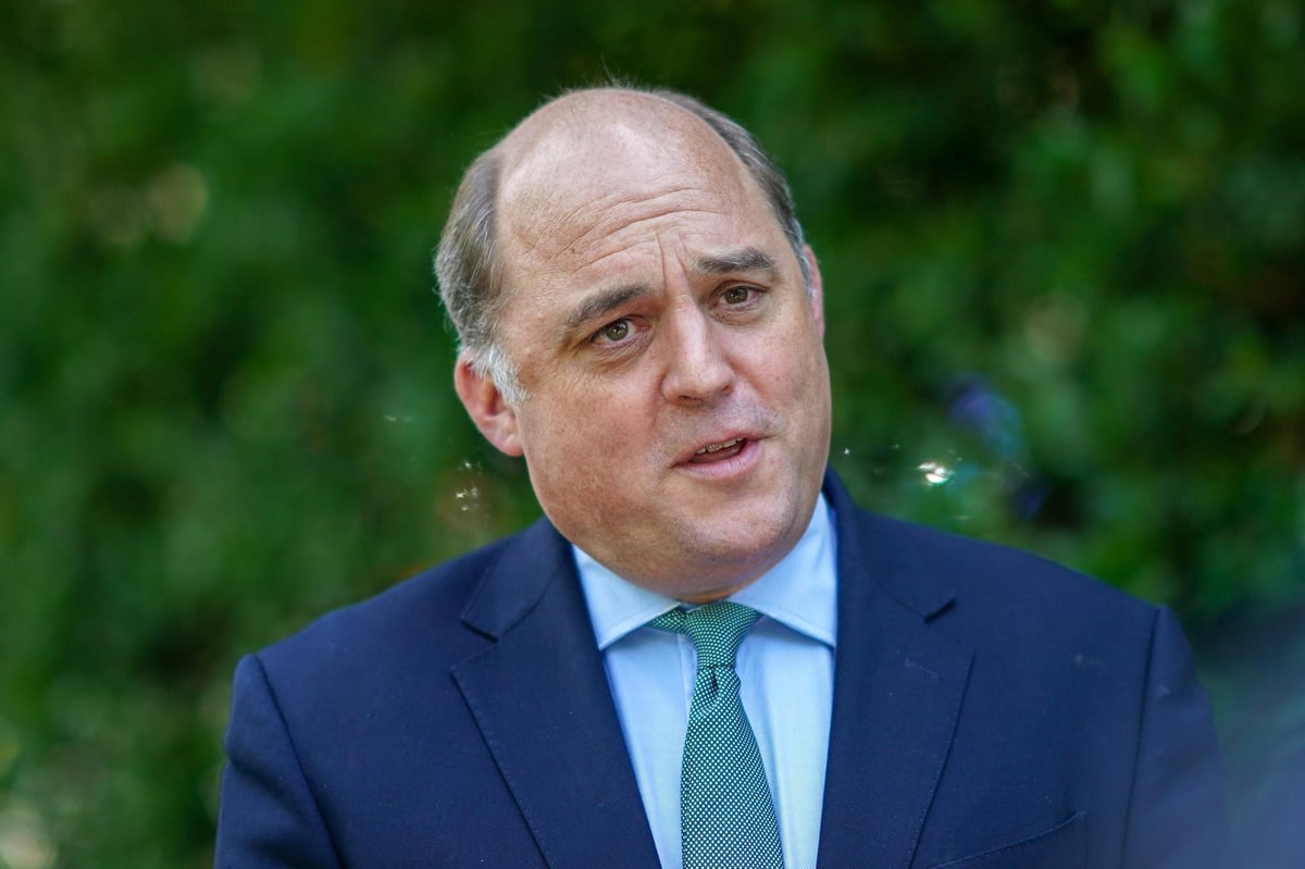 Fancy a flutter? These are the odds you'll get on Ben Wallace becoming the next Prime Minister