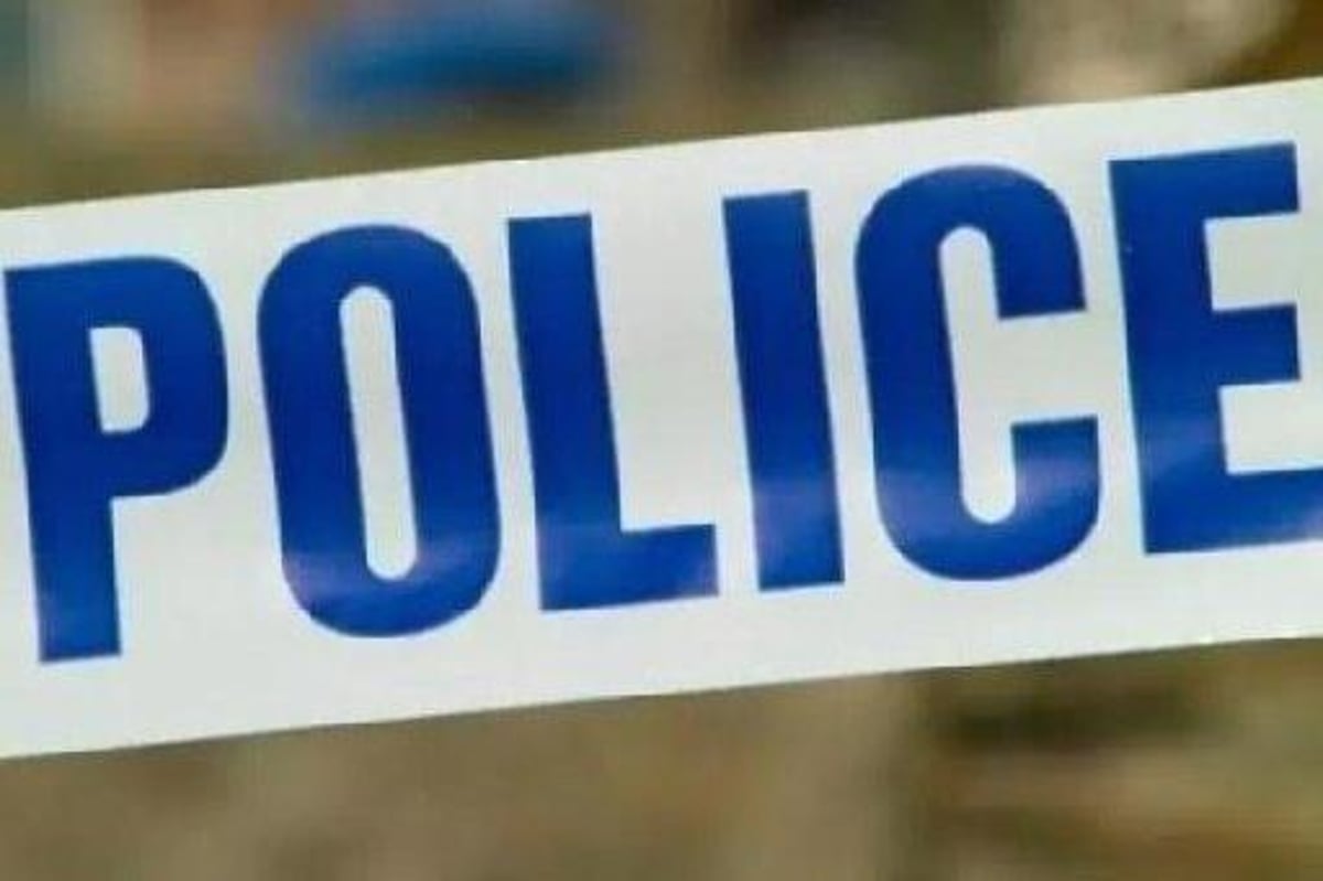 Man arrested and in custody after 84-year-old woman dies after being hit by car