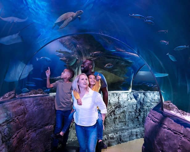 Blackpool SEA LIFE's Underwater Tunnel