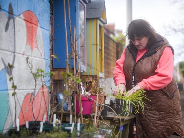 A group of residents have created a community garden in their alleyway called Strawberry Gardens. Pictured is Wendy Sweeney.