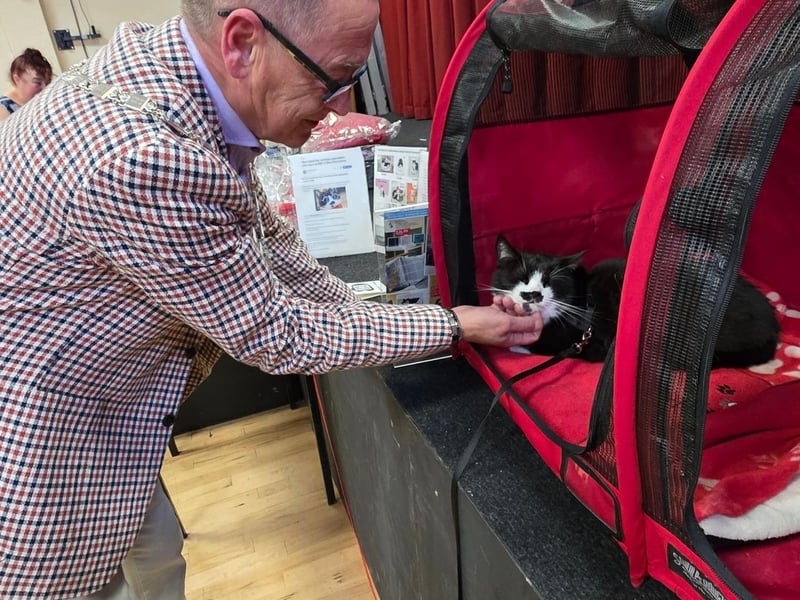 Councillor Caleb Tomlinson, Deputy Mayor of South Ribble, meets Spud The Cat With a Tash