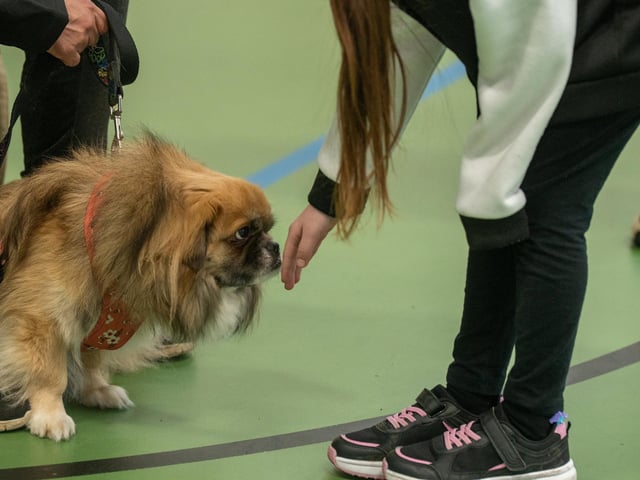 The workshop is aimed at children aged between 4-11 to educate them on safe interactions with dogs at Inspire Youth Zone, Chorley