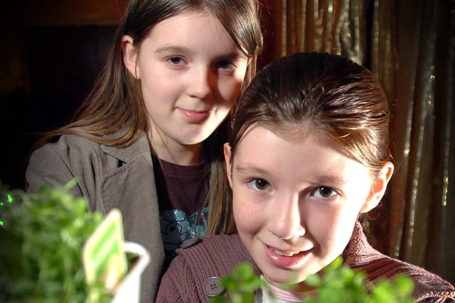 Sisters Jenny, 13, and Kate Delaney, 11, with shamrock during the Comhaltas Ceoltoiri Eireann Preston branch St Patrick's Day celebration at St Teresa's Parish Centre in Penwortham 2005