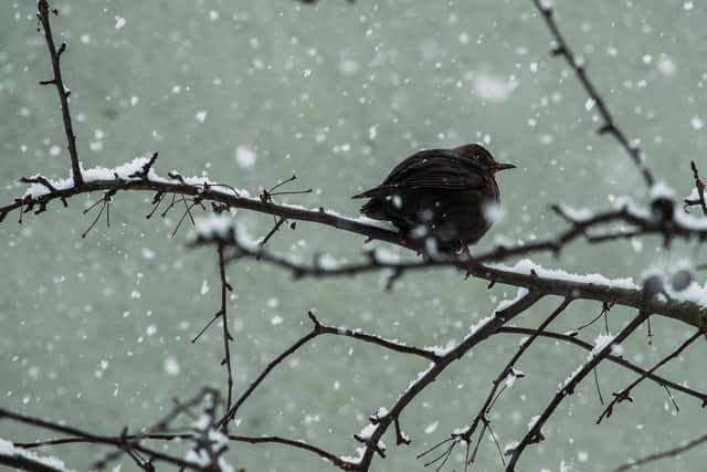 The warning covers all of Lancashire, including Blackpool, Preston, Lancaster, Burnley, Blackburn, Darwen and Clitheroe (Credit: Isak Fransson)