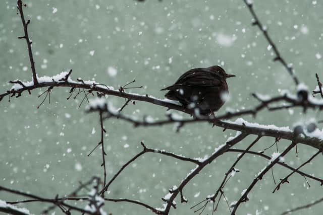 The warning covers all of Lancashire, including Blackpool, Preston, Lancaster, Burnley, Blackburn, Darwen and Clitheroe (Credit: Isak Fransson)