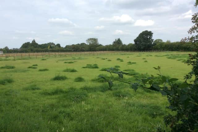 The plot is currently used as pasture land (image via: Chorley Council planning portal)