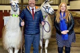 Andy McNae with Celia Gaze, and llamas, at The Wellbeing Farm