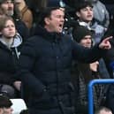 Morecambe manager Derek Adams Picture: Ben Stansall/AFP via Getty Images