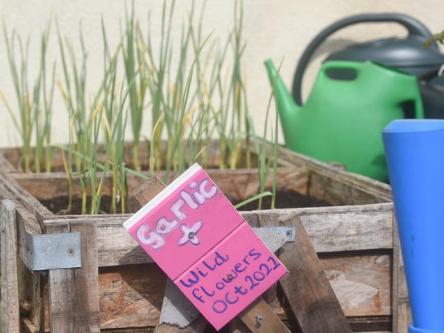 A group of residents have created a community garden in their alleyway called Strawberry Gardens