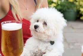 Some dogs just love a pub.