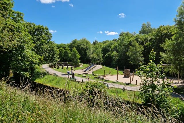 The play area at Yarrow Valley Country Park