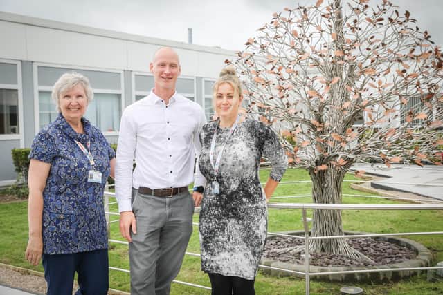 The Royal Preston's newly-unveiled memorial tree and, pictured from left to right, Ros Collins, charity administrator; Dan Hill, head of hospital charities;  and Rebecca Arestidou, grant and trust fundraiser, from Lancashire Teaching Hospitals Charity (image: LTH)