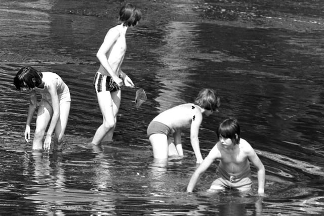 These lads take advantage of a quick paddle in the River Ribble to cool down