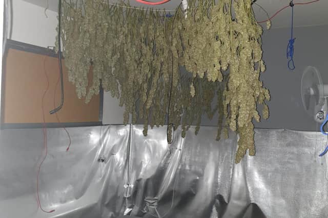 Police also discovered a large quantity of harvested and dried out cannabis (Credit: Lancashire Police)