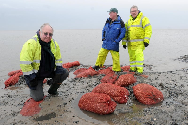 From left, Alan Sledmore, Stephen Clarke and Phil Forster with cockle bags, picked on the night of the tragedy, which were uncovered by the waters of the River Kent in Morecambe Bay in 2014, around the time of the 10th anniversary of the disaster.