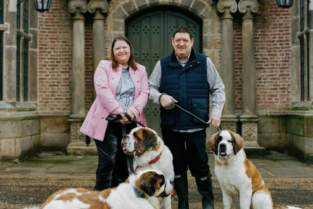 Simon Grundy from Chorley with his wife Rachel and Saint Bernard Dogs which they help rescue from around the world