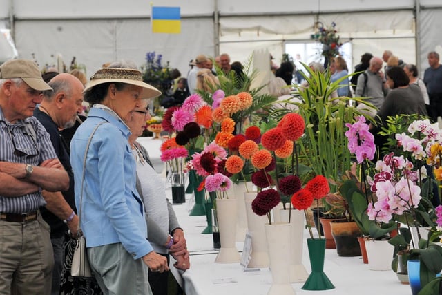Chorley Flower Show 2022: a the three-day event with displays, demonstrations, competitions, entertainment and stalls.